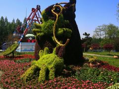 -东平国家森林公园
