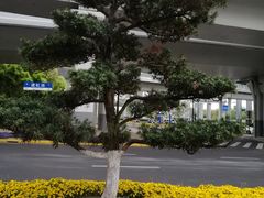 -蘭心餐厅(进贤路店)