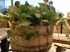 -三十三碗黄牛肉面(东原1891店)