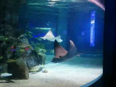 -常州海昌海洋探索馆