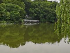 -听松楼-中餐厅.家宴(红梅公园店)