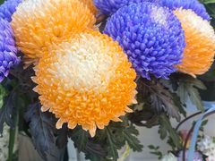 -花草间花行(法华镇路店)