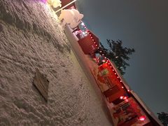 -长春世界雕塑园冰雪艺术天地