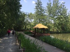 -溱湖国家湿地公园