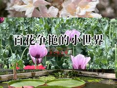 -国家植物园南园