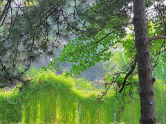 -国家植物园南园