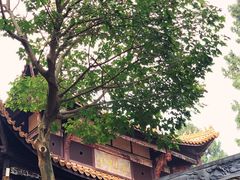 -中国观音故里广德景区