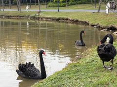 -佛冈森波拉度假区