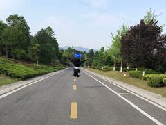 -铁山坪森林公园