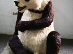 -宝岩生态观光园