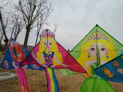 -汉长安城未央宫国家考古遗址公园