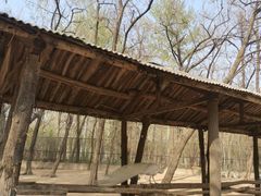 -秦皇岛野生动物园
