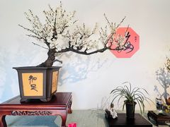 -颐和园