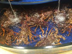 -海景壹号大酒店(滨湖店)