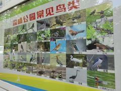 -昆山城市生态森林公园