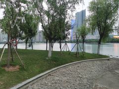 -天鹅湖体育公园