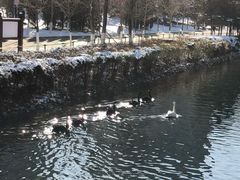 -长白岛森林公园