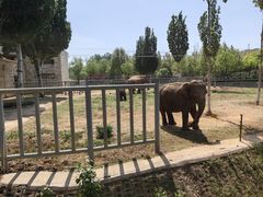 -石家庄市动物园