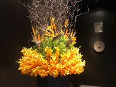 -当米亚诺意大利餐厅(武汉光谷凯悦酒店)