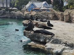 -珠海长隆海洋王国