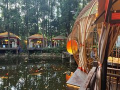 -二荆条·蜀鲜汇城市森林火锅