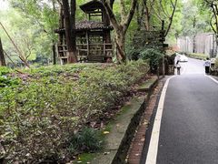 -泸溪河桃酥(壹方城店)