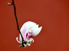 -东华门大街小区