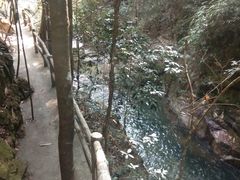 -九龙江国家森林公园