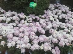 -天怡·鱼工厂(临江店)