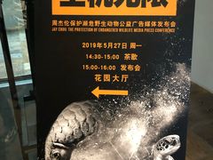 -北京三里屯CHAO酒店