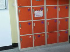 -兜莱·亲亲袋鼠国际早教