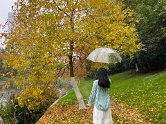 -四里河滨水生态公园