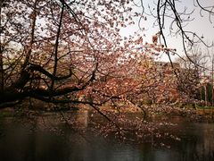 -北海道厅旧本厅舍(旧本庁舎)