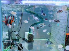 -凯德广场(西城店)