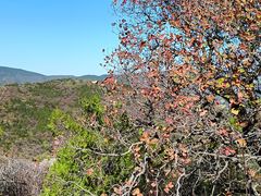 -北京西山国家森林公园