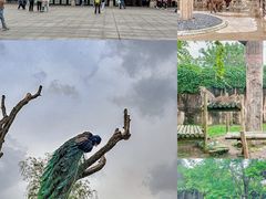 -杭州野生动物世界