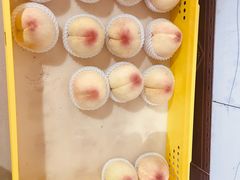 -老袁家蜜桃农场·阳山水蜜桃