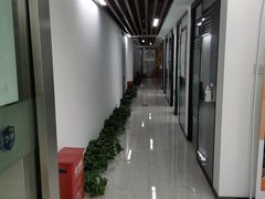 -新航道雅思托福·留学·考研培训(人民广场校区)