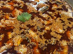 -川渔居—鱼火锅(八方汇店)