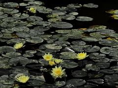 -宁波杭州湾国家湿地公园
