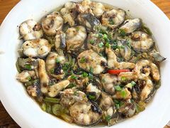 西江爽鳝-八仔大富楼·河鲜(西江店)