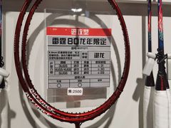 -YONEX苗江运动城(源深店)