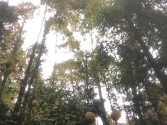 -花水湾第一村温泉大酒店