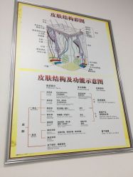 -理肤印象·个人皮肤管理中心