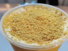 豆乳芝士奶茶-7分甜(上海新天地广场店)