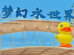 -巨鹏飞梦幻海岸