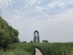 -太湖湖滨国家湿地公园-停车场