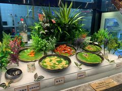 -金滏山烤肉·海鲜·火锅自助餐厅(襄阳万达店)