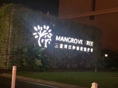 -三亚湾红树林度假世界(木棉酒店)