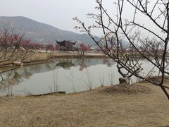 -灌云梅园景区